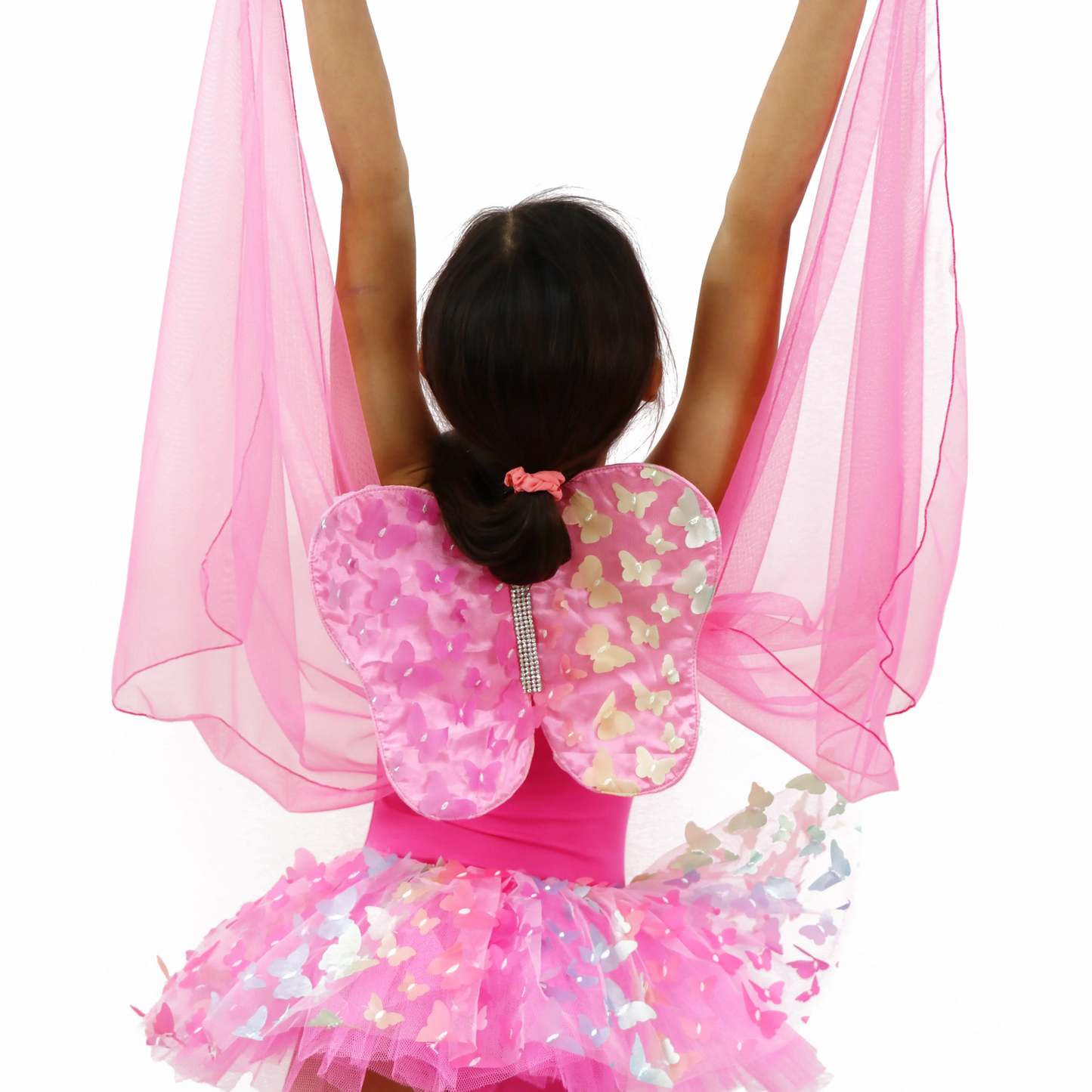 Rainbow Soft Butterfly Wings