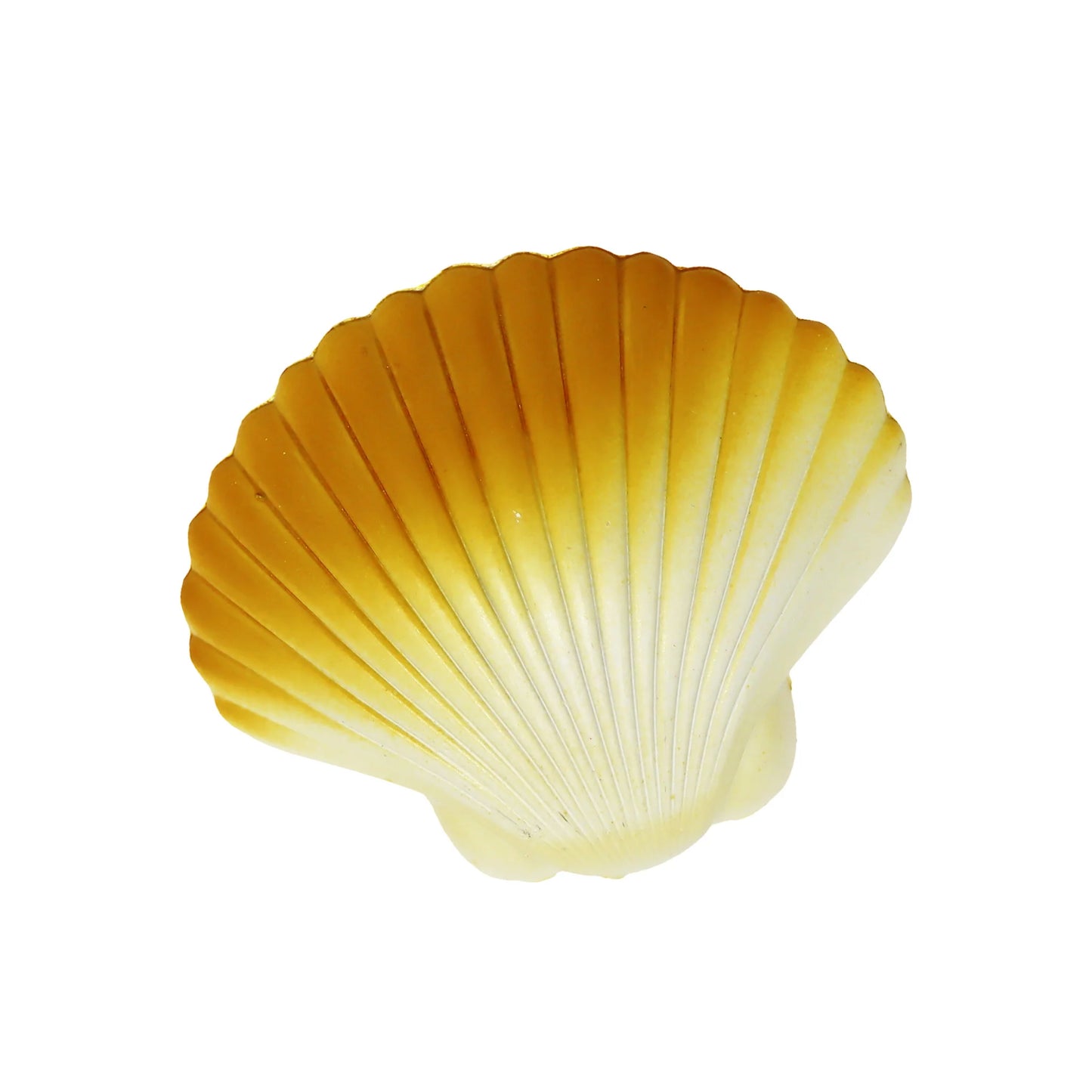 Magic Shell Surprise Bracelet