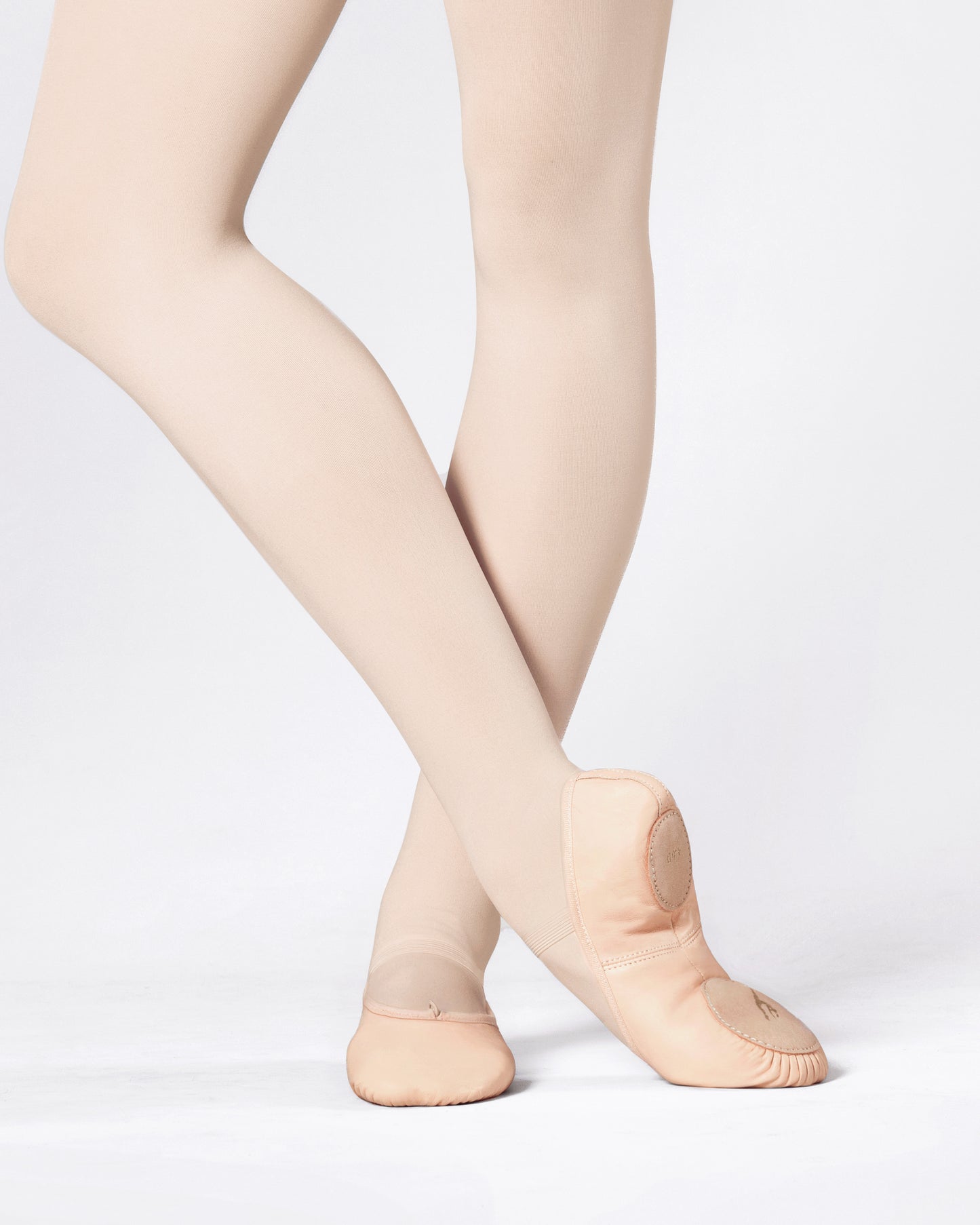 Split Sole Ballet Shoe Adults