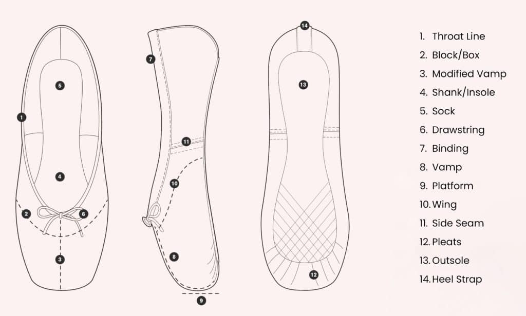 Pointe Shoe Fittings Step by Step Dancewear