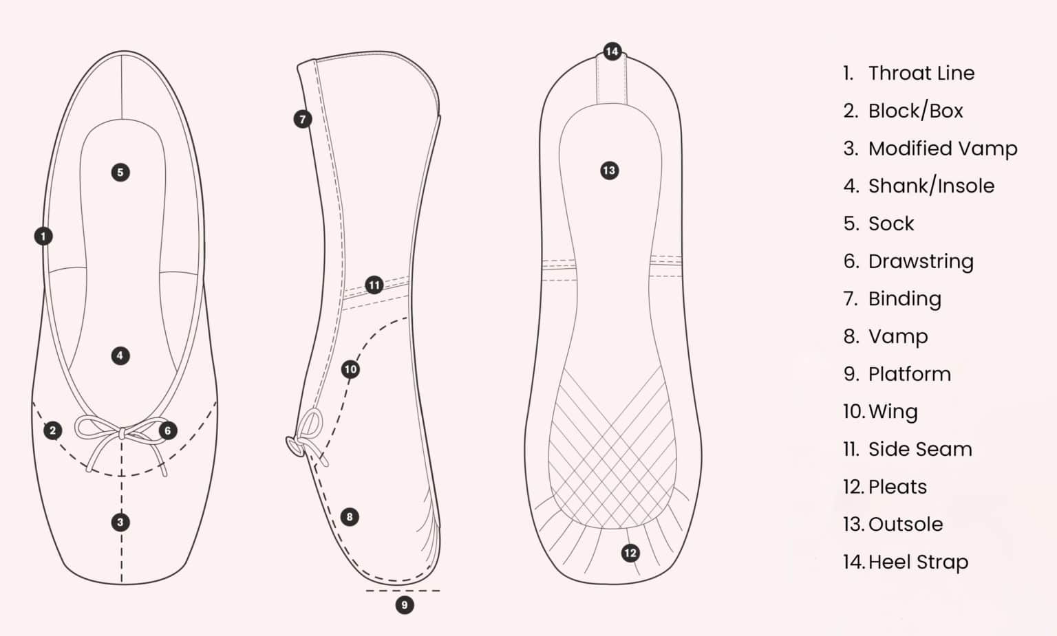 Pointe Shoe Fittings Step by Step Dancewear