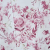 CLARET ROSE